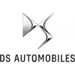 DS Diamond Car Mats